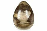 Colorful, Polished Petrified Wood Egg - Madagascar #286060-1